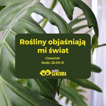 Rośliny objaśnieniaja mi swiat 2 Botanika czakr