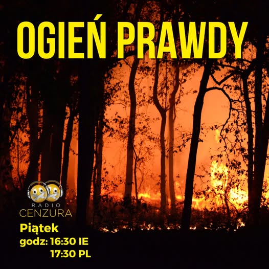 Ogień Prawdy 81 Prawda czy fałsz (22 11 2024)